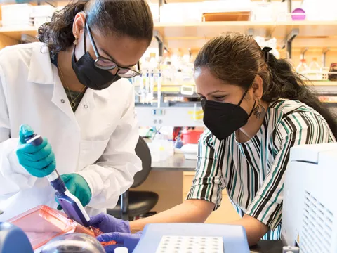CURE Internship program mentor and mentoree conducting laboratory research