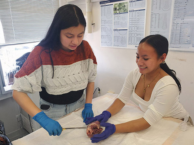 Two young women working in a laboratory environment