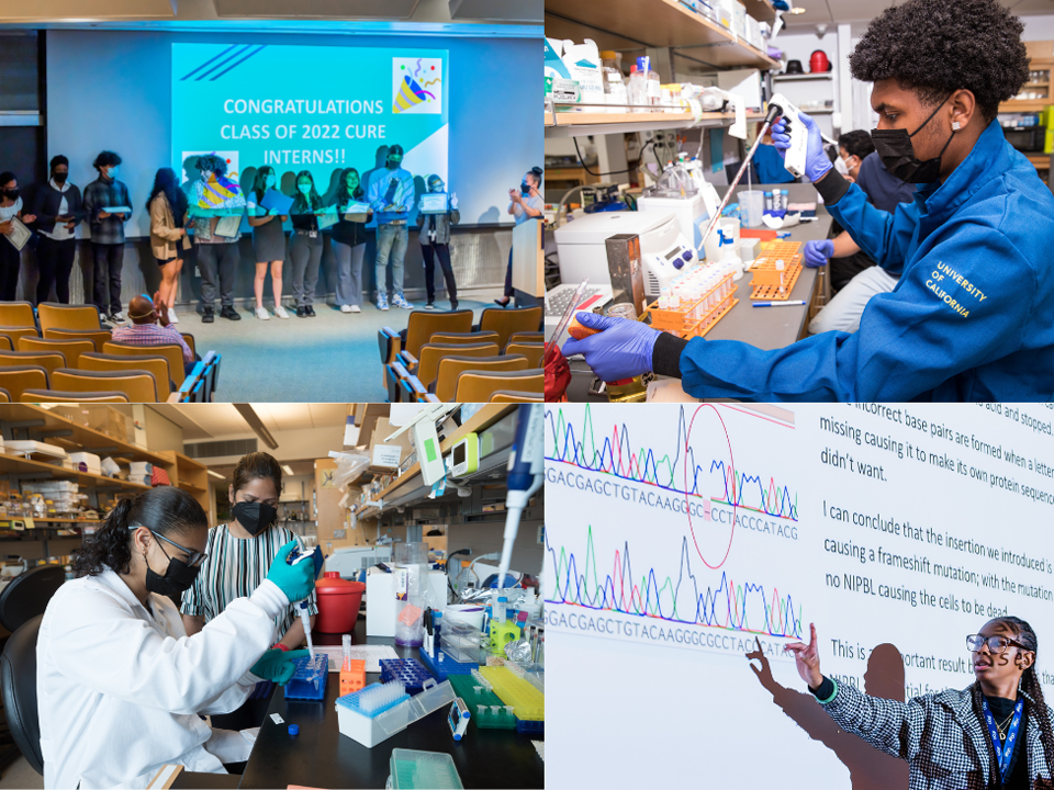 A collage of scenes from the 2022 UCSF CURE Internship program: high school students present their research work in an auditorium and experiment in their labs.