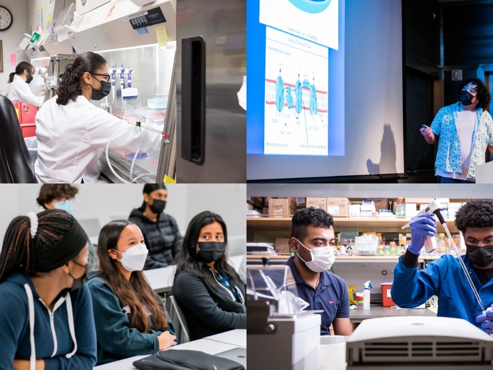 A collage of scenes from the 2022 UCSF CURE Internship program: high school students participate in group activities and experiment in their labs.