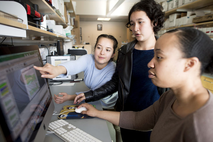 A postdoc mentors high school students.